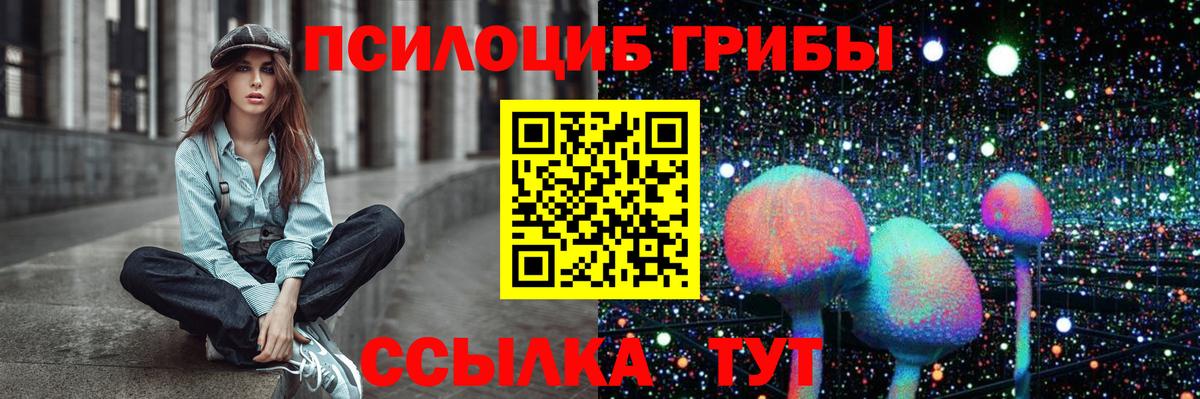 Галлюциногенные грибы Psilocybe  Вход с VPN  Шарыпово 